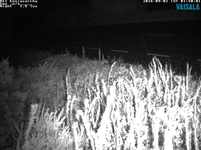 1737_cam1-1788318936.jpg