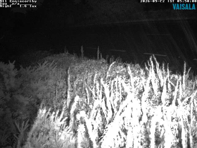 1737_cam1-1788332858.jpg