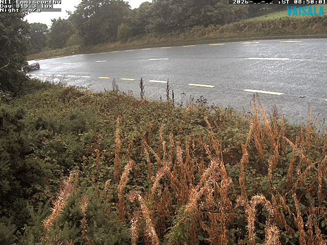 1737_cam1-1788344134.jpg