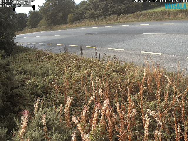 1737_cam1-1788354946.jpg