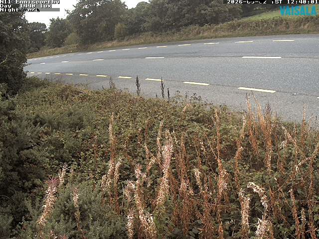 1737_cam1-1788357899.jpg