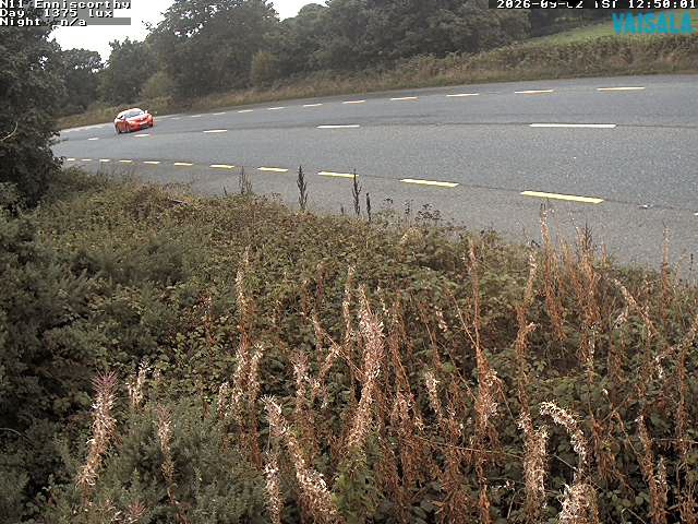 1737_cam1-1788358521.jpg
