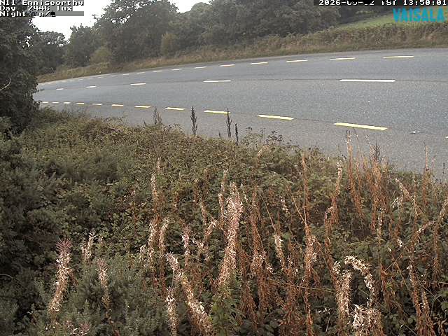 1737_cam1-1788362121.jpg