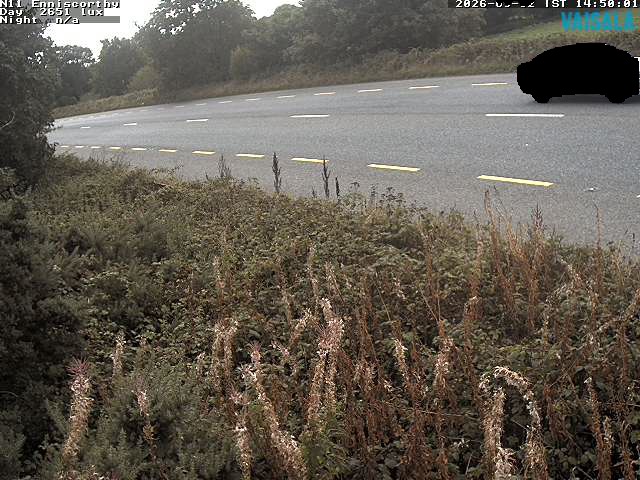 1737_cam1-1788365720.jpg