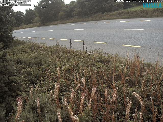 1737_cam1-1788372409.jpg