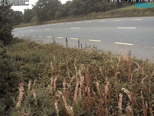 1737_cam1-1788375989.jpg