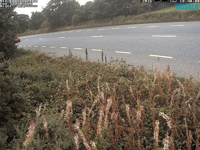 1737_cam1-1788379482.jpg