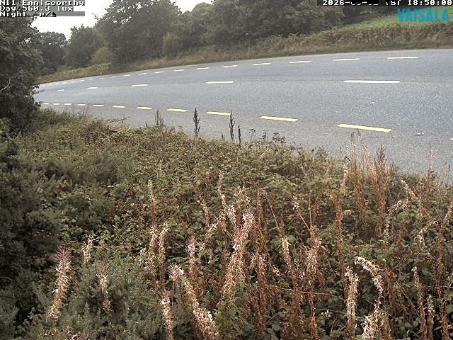 1737_cam1-1788380121.jpg