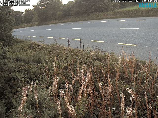 1737_cam1-1788383734.jpg