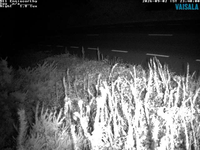 1737_cam1-1788397533.jpg