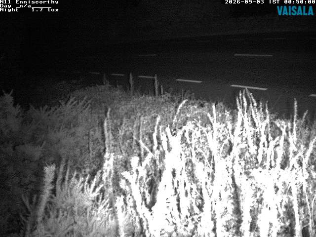 1737_cam1-1788401736.jpg