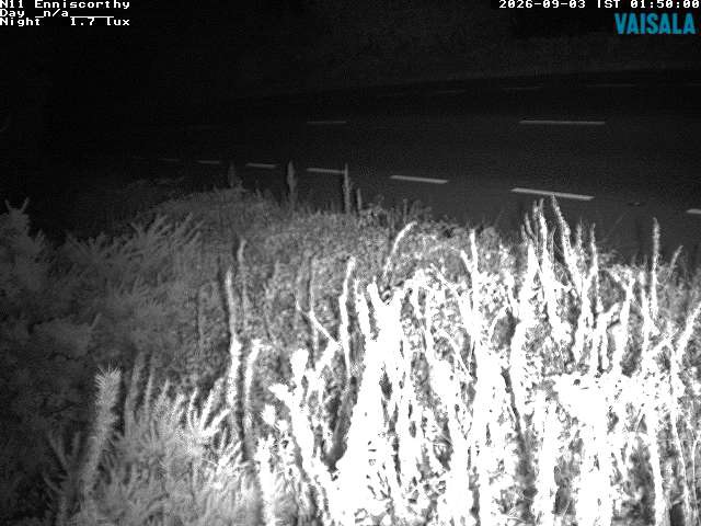 1737_cam1-1788404758.jpg