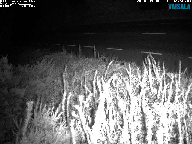 1737_cam1-1788408928.jpg