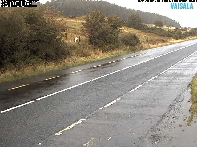 1687_cam1-1788282460.jpg
