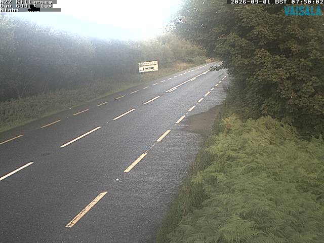 1734_cam1-1788254134.jpg