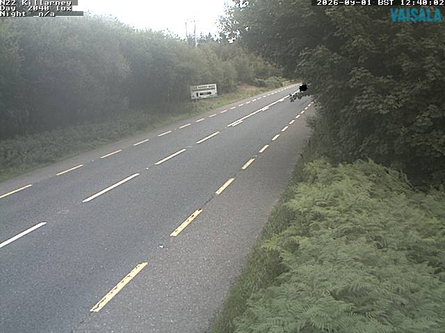 1734_cam1-1788271433.jpg