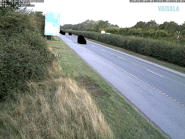 1733_cam1-1788250533.jpg