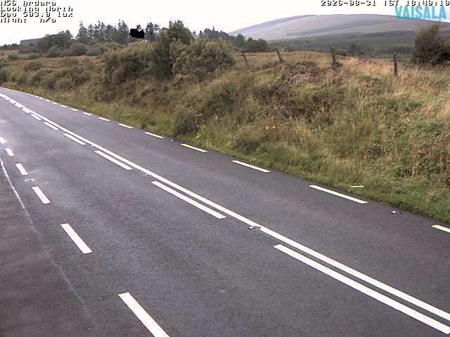 11724_cam1-1788206426.jpg