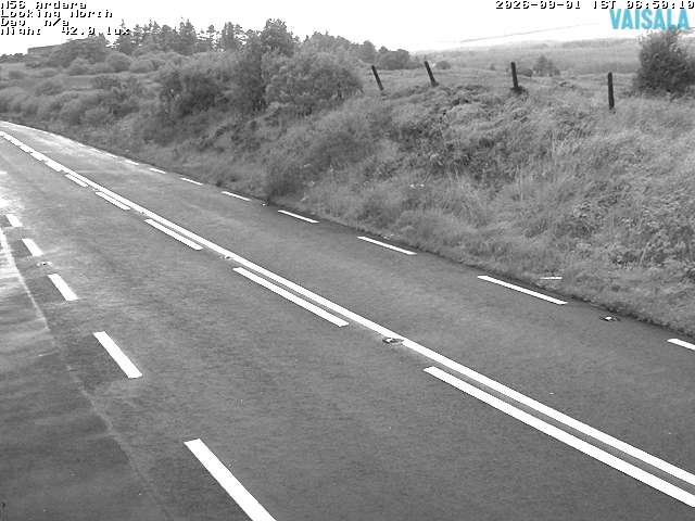 11724_cam1-1788250532.jpg
