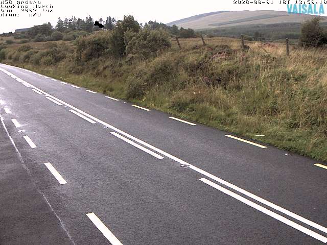 11724_cam1-1788275725.jpg