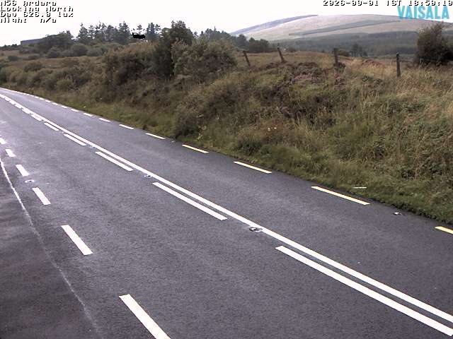 11724_cam1-1788293277.jpg