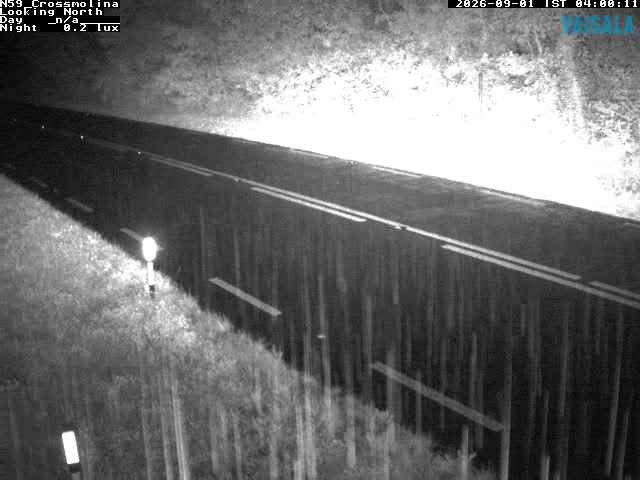 12459_cam1-1788239719.jpg