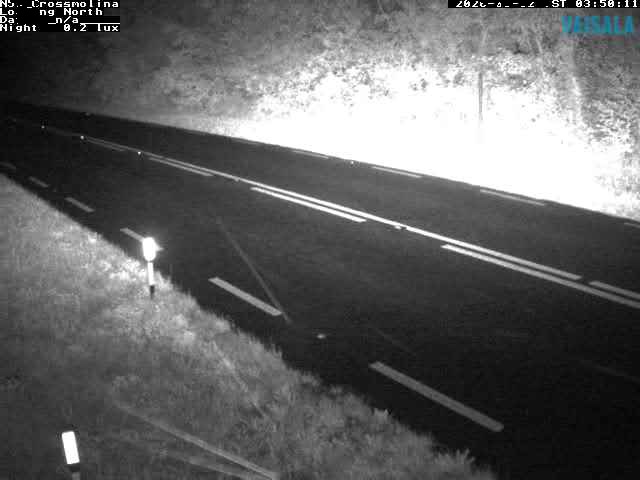 12459_cam1-1788326120.jpg