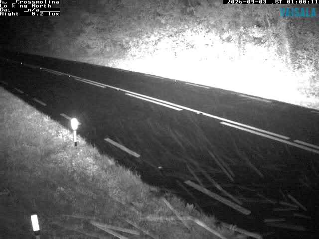 12459_cam1-1788401733.jpg