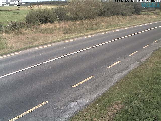 5616_cam1-1788271432.jpg