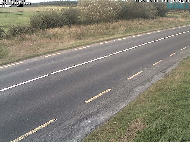 5616_cam1-1788286521.jpg