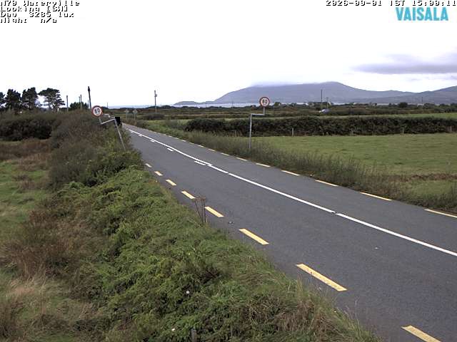 11723_cam1-1788279326.jpg