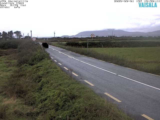 11723_cam1-1788286021.jpg