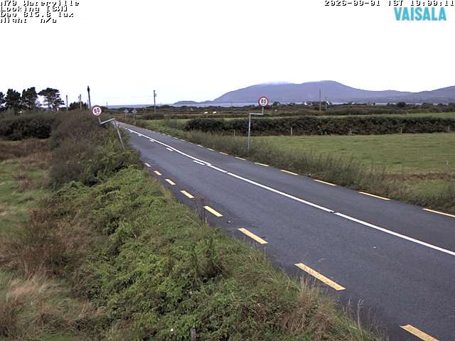 11723_cam1-1788293717.jpg