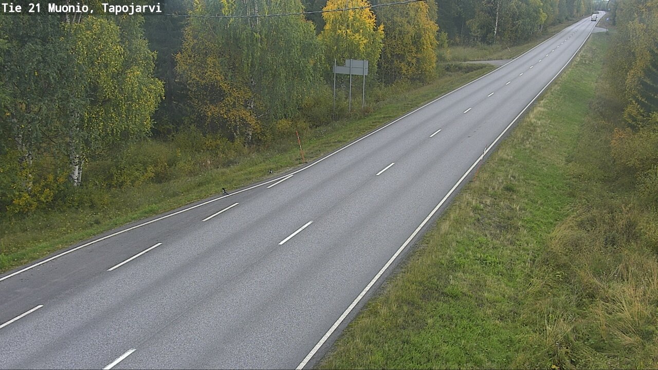 c1456302-1788361430.jpg