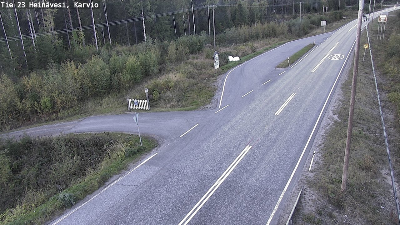 c0350702-1788368555.jpg