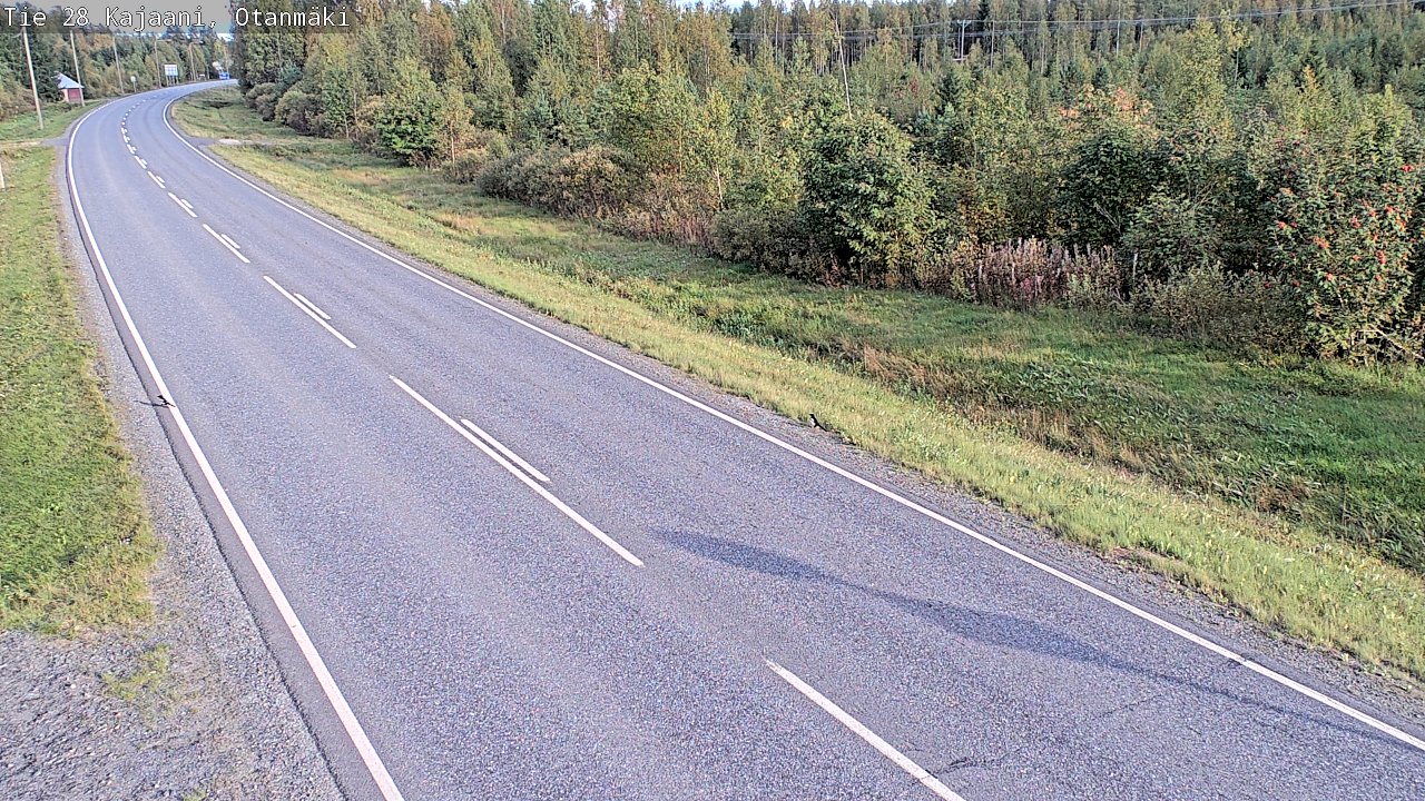 c1252601-1788368551.jpg