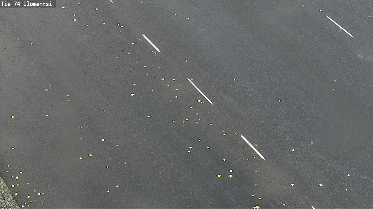 c0857509-1788271305.jpg
