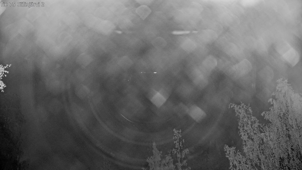 c0857401-1788224723.jpg