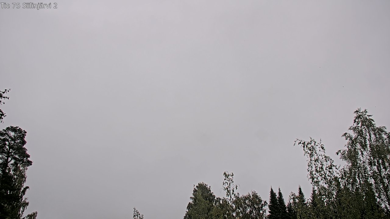 c0857401-1788249825.jpg