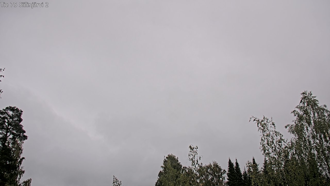 c0857401-1788257033.jpg
