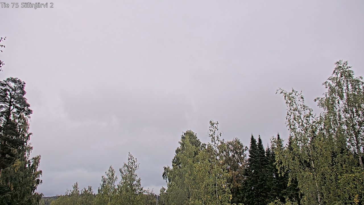 c0857401-1788260681.jpg
