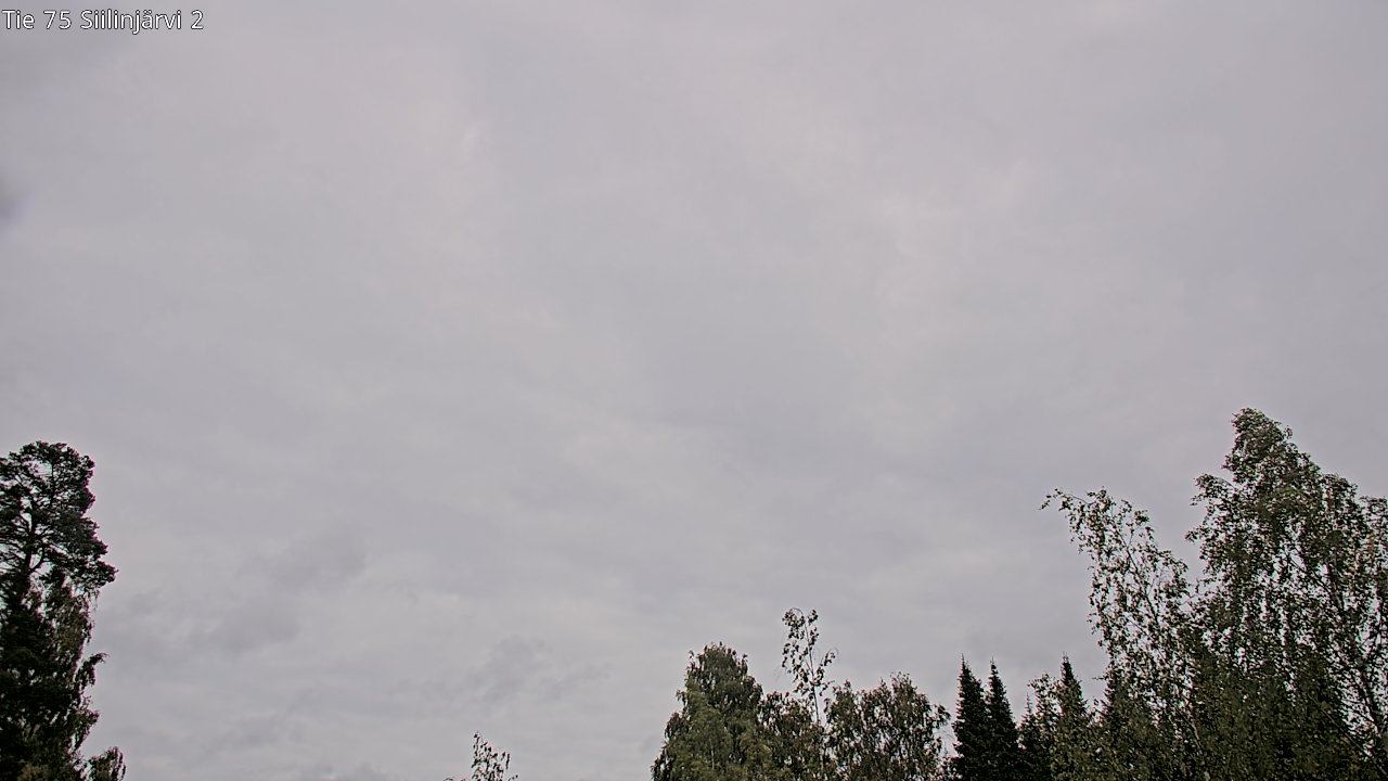 c0857401-1788267890.jpg