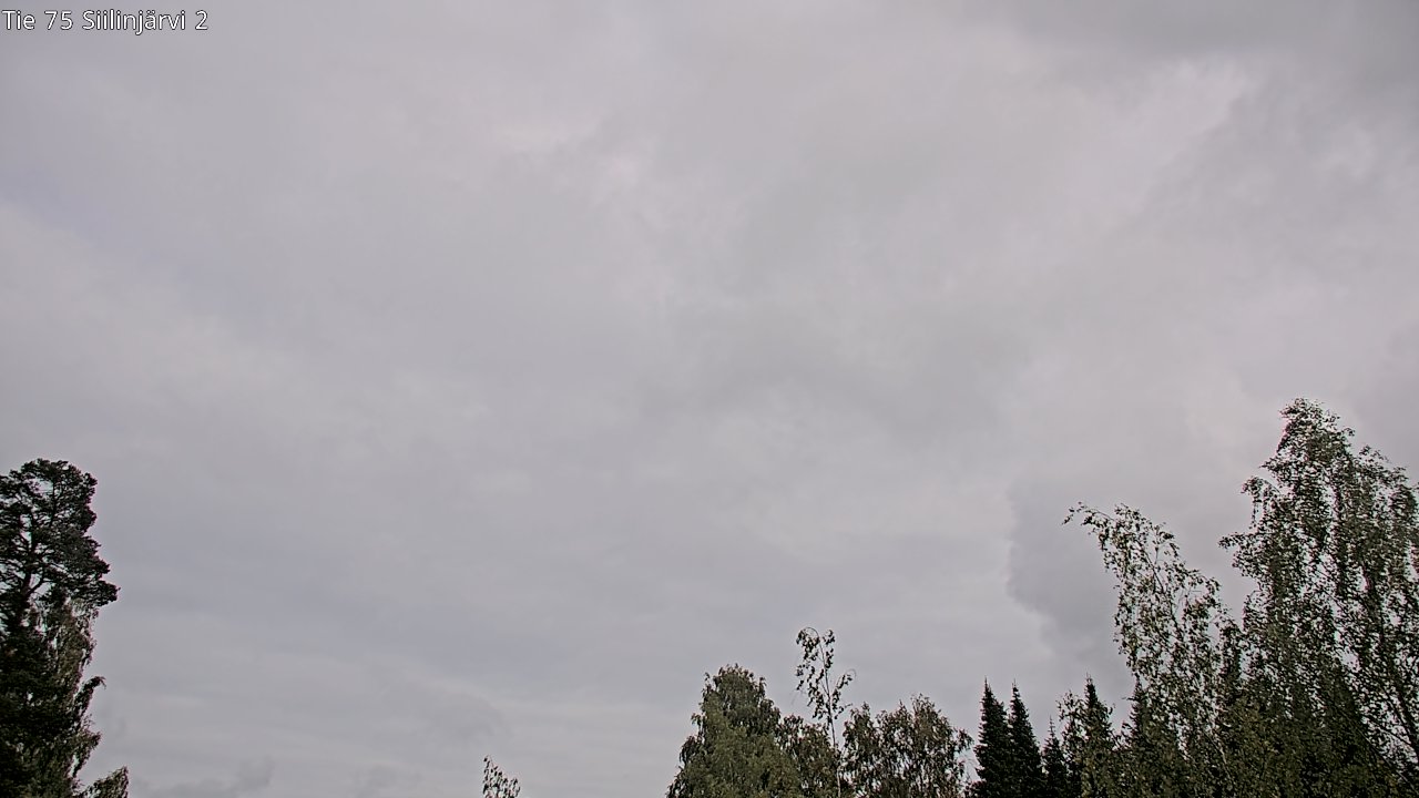 c0857401-1788271305.jpg
