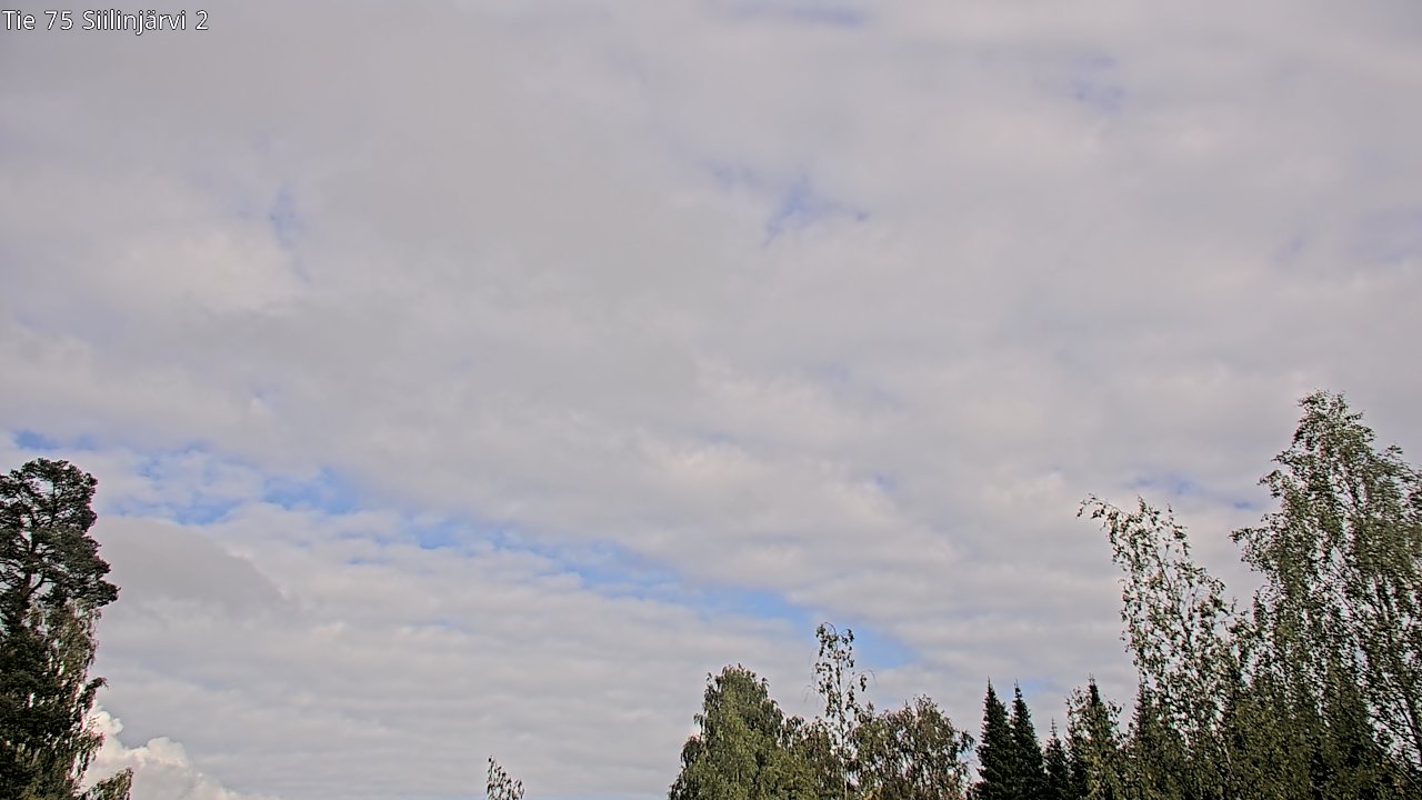 c0857401-1788274956.jpg
