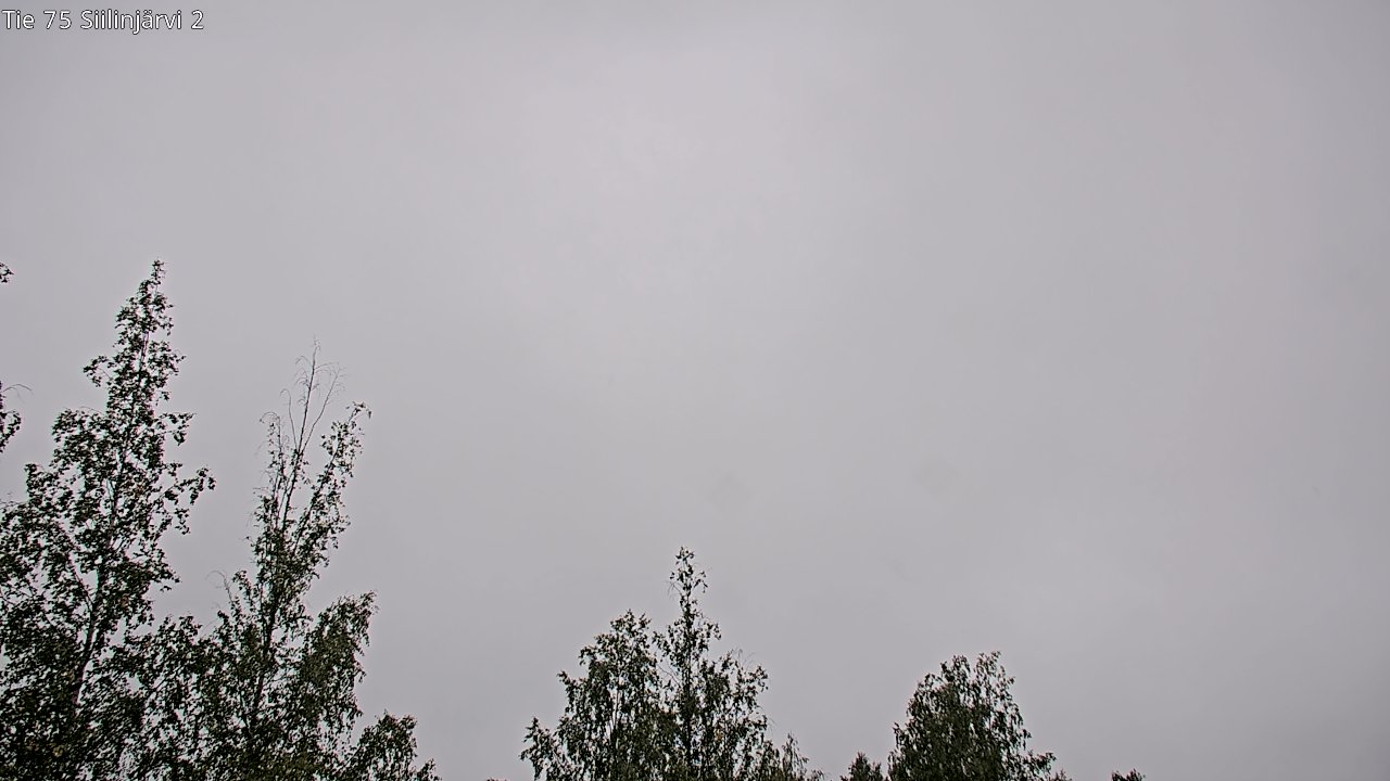 c0857402-1788249825.jpg