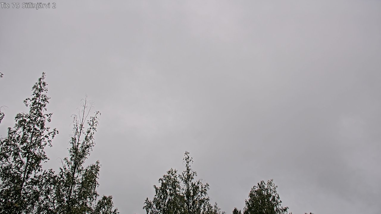 c0857402-1788257033.jpg