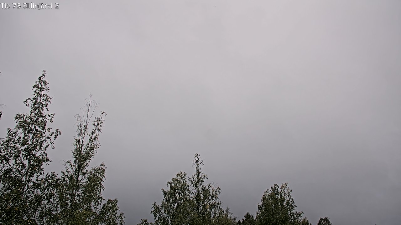 c0857402-1788260681.jpg