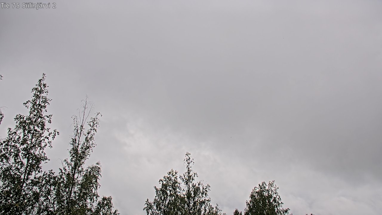 c0857402-1788264249.jpg
