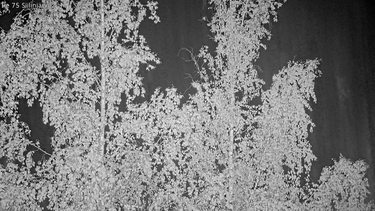c0857409-1788221040.jpg