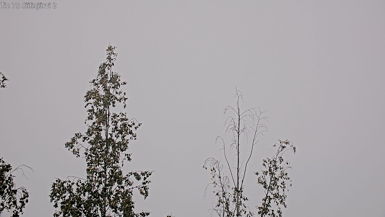 c0857409-1788239045.jpg